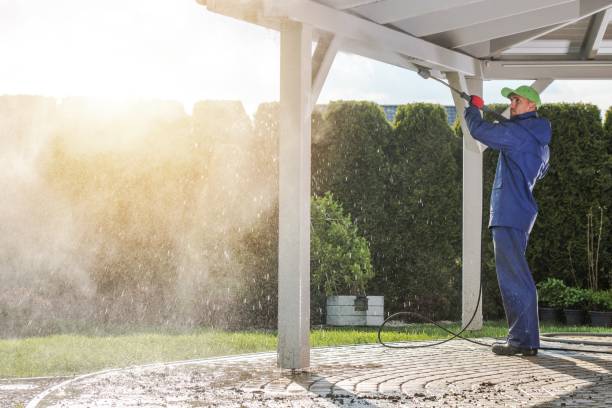 Best House Exterior Washing  in Long Beach, IN