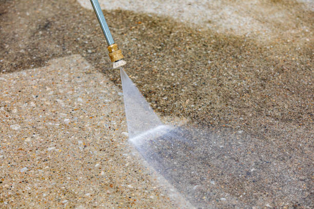 Best Roof Washing  in Long Beach, IN